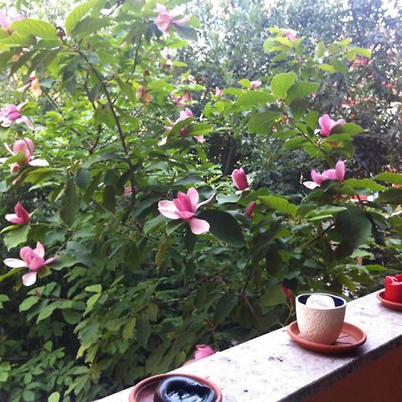 Apartament Navigli Downtown Cocco House Mediolan Zewnętrze zdjęcie